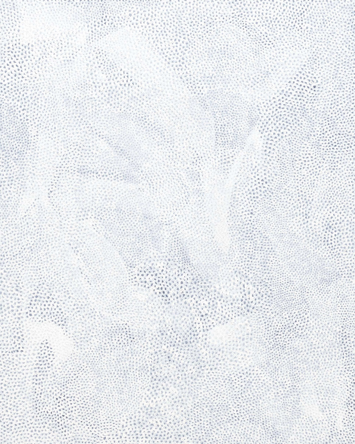 Infinity-Nets (KBLFI)