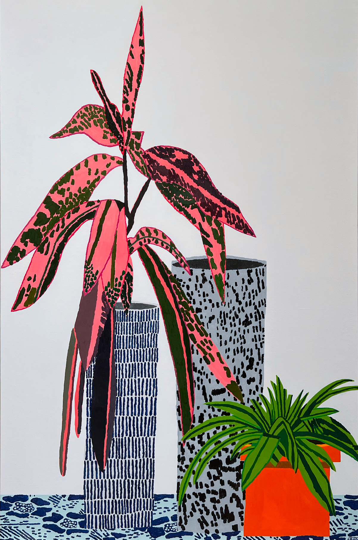 Pink Plant