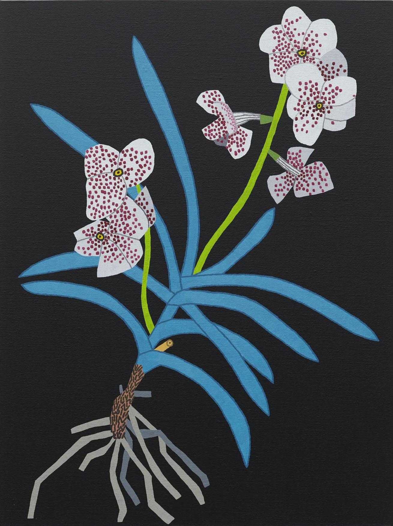 White orchid with blue leaves